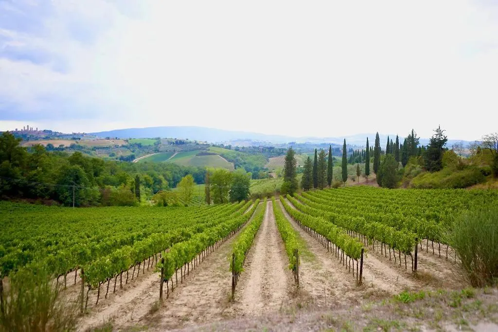 Lovely 2 Bedroom In San Gimignano Historic Center Apartment
